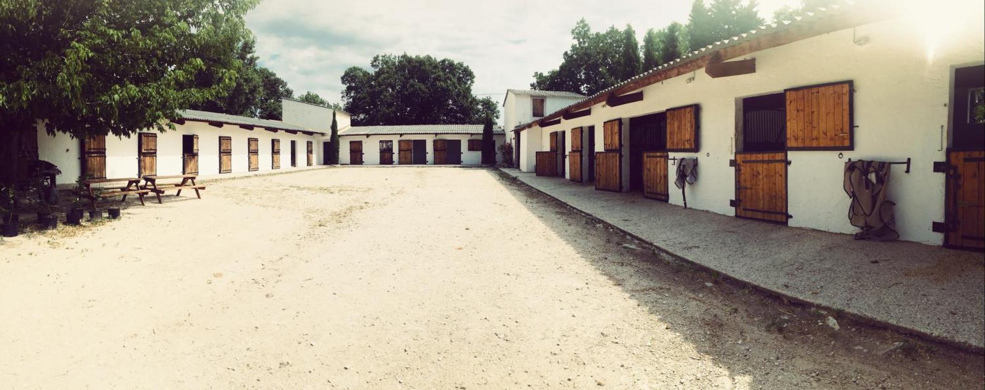 Maison Au Milieu Des Chevaux LʼIsle-sur-la-Sorgue Exterior foto